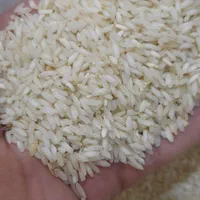 برنج میداوود معطر        اصفهان کارت کالابرگ  آزاد|خوردنی و آشامیدنی|اصفهان, رزمندگان|دیوار