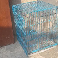 قفس بزرگ کاسکو