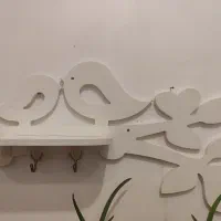 قفسه