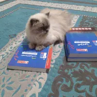 کتاب کنکور قلم‌چی