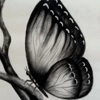 آموزش سیاه قلم انجام وپذیرفته میشود|خدمات آموزشی|کرمان, |دیوار