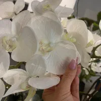 گل ارکیده چرم لمسی|گل مصنوعی|تهران, زرگنده|دیوار