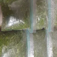 سبزی و ترشی خانگی شوید تازه|خوردنی و آشامیدنی|شاهدشهر, |دیوار