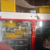 دستگاه جوجه کشی اتومات معاوضه باگوسفند|لوازم جانبی حیوانات|فاضل آباد, |دیوار