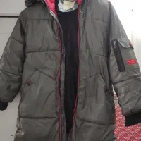 پالتو