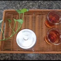 صنایع دستی|ظروف نگهدارنده، پلاستیکی، یک‌بارمصرف|خرم‌آباد, |دیوار