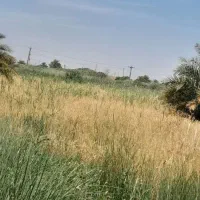 ۵ هکتار زمین حفار شرقی فرصت طلایی...عکس تزینی|فروش زمین و ملک کلنگی|آبادان, |دیوار