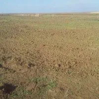 اجاره زمین کشاورزی به مساحت دو هکتار و سه هزار متر