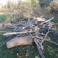 خریدچوب چنارگردوضایعات وغیره توافقی