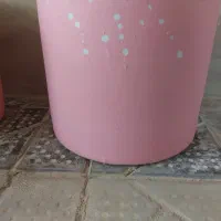 گلدان فانتزی و گل طبیعی