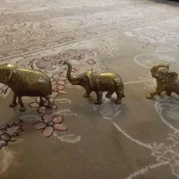 سه تافیل نسبتابزرگ