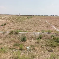 زمین-کشاورزی