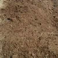 کود اسب