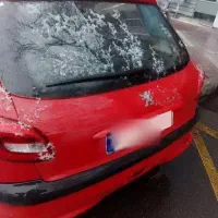 ۲۰۶ تیپ ۶ مدل ۸۸