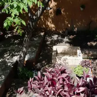 اجاره روزانه/هفتگی/ماهانه آپارتمان|اجارهٔ کوتاه‌مدت آپارتمان و سوئیت|چناران, |دیوار