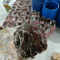 خرما