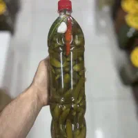 پخش خیارشور