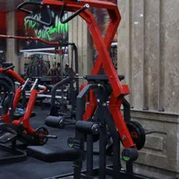 ست مهندسی اقتصادی دستگاه بدنسازی وزن آزاد ایرانی|تجهیزات ورزشی|تهران, حر|دیوار