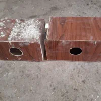 قفس|لوازم جانبی حیوانات|علی‌آباد کتول, |دیوار