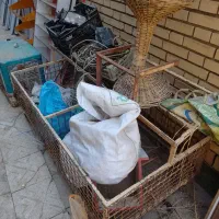 گاری،میو،سیب،پیازوقفسه|حراج|رضویه, |دیوار