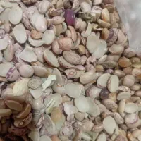 عدس|خوردنی و آشامیدنی|شیراز, تندگویان|دیوار