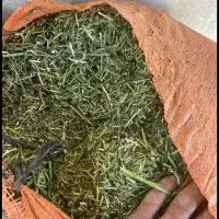 یونجه خرمن