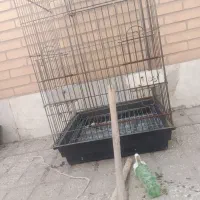 قفس بزرگ کاسکویی
