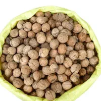 ۳۰۰ کیلو گردوی تازه صحنه کرمانشاه