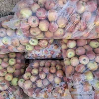 کشمش سیب انار گردو بادام و...|خوردنی و آشامیدنی|یزد, |دیوار