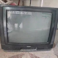 تلویزیون