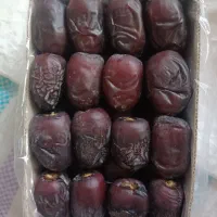 خرما مضافتی