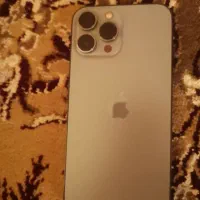 13پرومکس