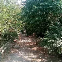 فروش باغچه یامعاوضه ملک