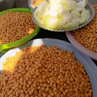 خمیر فلافل با ادویه مخصوص ونخود با کیفیت