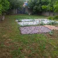فروش زمین ۲۸۷ متری در  روستای زیبای نوخاله|فروش زمین و ملک کلنگی|رشت, یخسازی|دیوار