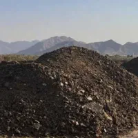 کود گاو