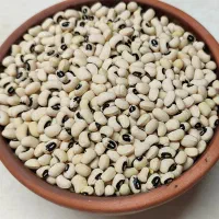 لوبیا چشم بلبلی درجه یک امسالی|خوردنی و آشامیدنی|سوری, |دیوار