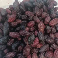 ذغال اخته خشک