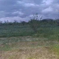 قطعه-زمین-باغی-در-مرند