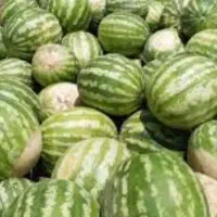 هندوانه درجه یک