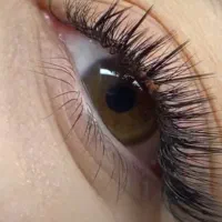 اکستنشین|خدمات آرایشگری و زیبایی|تربت جام, نظامی|دیوار