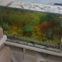 آکواریوم ۸۰×۶۰ با ماهی،  معاوضه باهرچی
