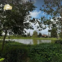 ۲۱۵ متر ملک حیاطدار با امتیازات کامل در امشه رشت|فروش خانه و ویلا|رشت, شهرک احمد خمینی|دیوار