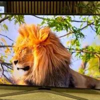 تلویزیون ۵۰ اینچ سامسونگ در حد