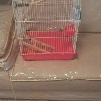 قفس پرنده با وسایل