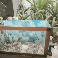 آکواریوم بزرگ 50*80