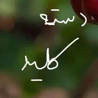 دسته کلید گمشده