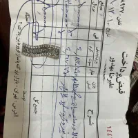 گردنبند ورساچه