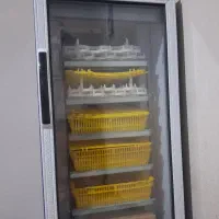 دستگاه جوجه کشی نو و تمیز انواع پرنده تخم گذار