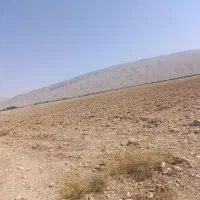 فروش زمین|فروش دفتر صنعتی، کشاورزی، تجاری|فسا, |دیوار